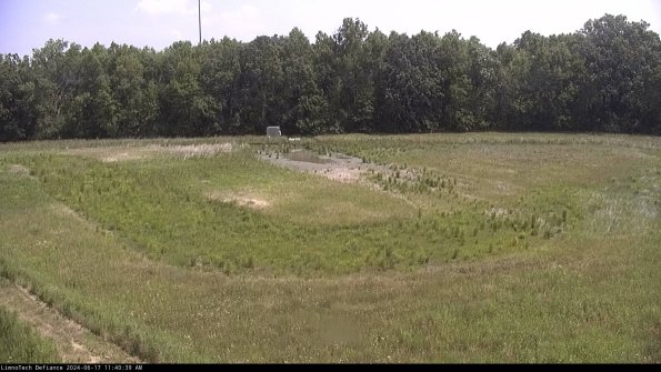 Cell 4_24-06-17_11-40-40-31