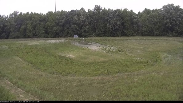 Cell 4_24-06-17_13-54-38-35