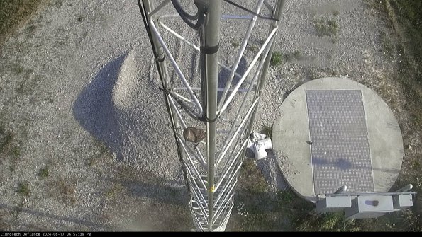 Hatch_24-06-17_18-57-40-32