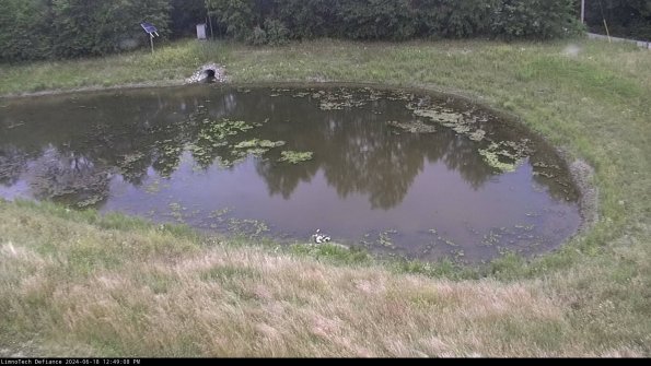 Basin Right_24-06-18_12-49-09-33