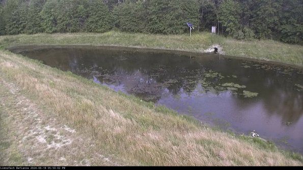 Basin_24-06-18_17-50-02-49