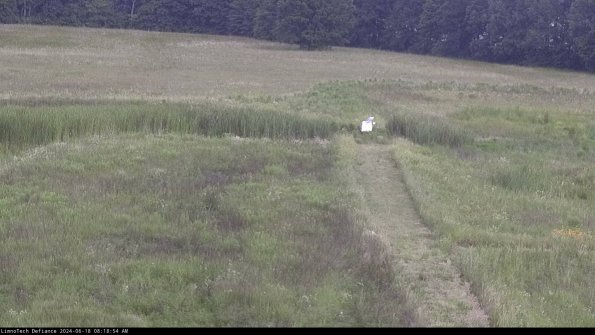 Cell 1 to 2_24-06-18_08-18-55-34