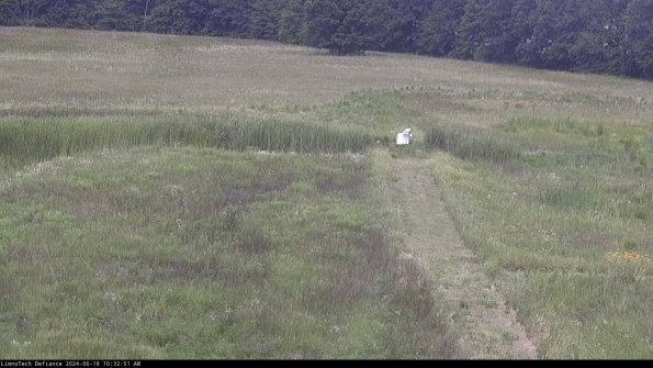 Cell 1 to 2_24-06-18_10-32-52-35