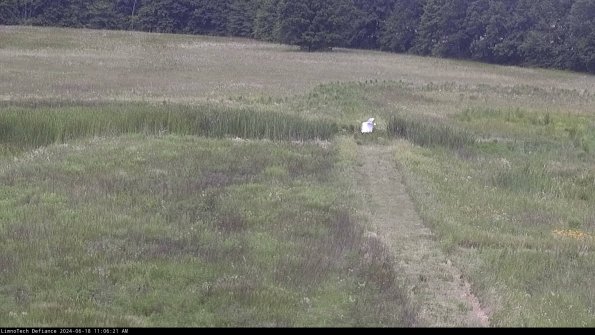 Cell 1 to 2_24-06-18_11-06-22-34