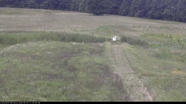 Cell 1 to 2_24-06-18_11-39-50-35