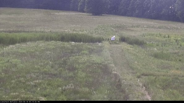 Cell 1 to 2_24-06-18_17-14-43-36