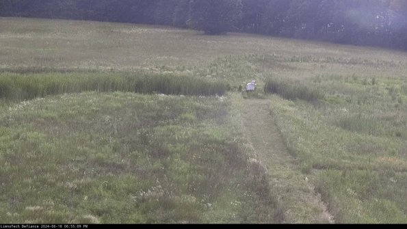 Cell 1 to 2_24-06-18_18-55-10-35