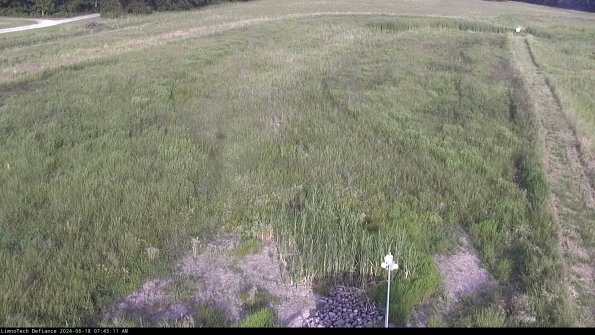 Cell 1_24-06-18_07-45-12-34