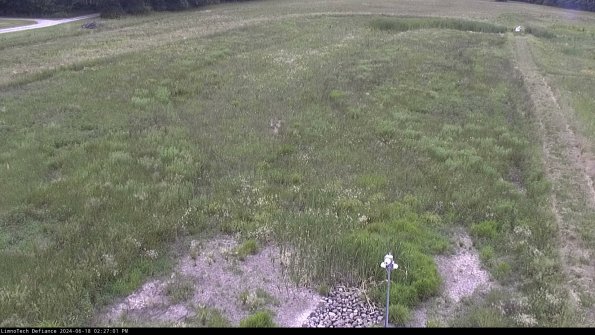 Cell 1_24-06-18_14-27-02-33