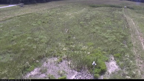 Cell 1_24-06-18_15-34-01-33