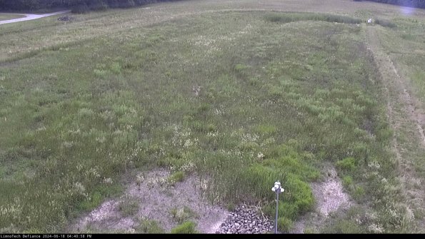 Cell 1_24-06-18_16-40-59-33