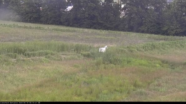 Cell 2 to 3_24-06-18_08-19-21-53