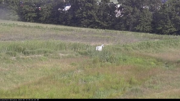 Cell 2 to 3_24-06-18_09-26-20-50