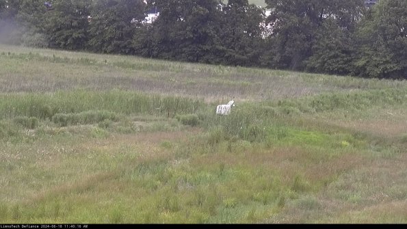 Cell 2 to 3_24-06-18_11-40-16-51