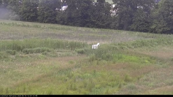 Cell 2 to 3_24-06-18_12-47-14-45