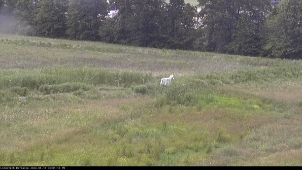 Cell 2 to 3_24-06-18_15-01-11-45