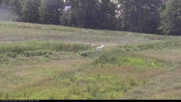 Cell 2 to 3_24-06-18_16-08-10-52