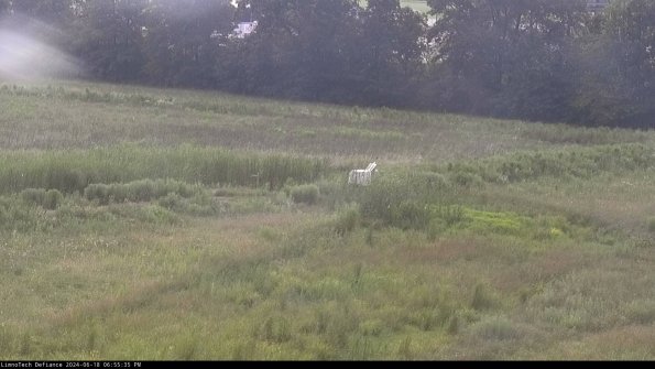 Cell 2 to 3_24-06-18_18-55-36-41