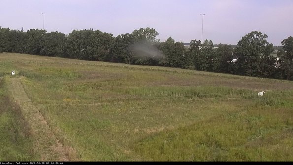 Cell 2_24-06-18_09-26-07-39