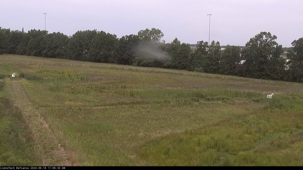 Cell 2_24-06-18_11-06-35-35