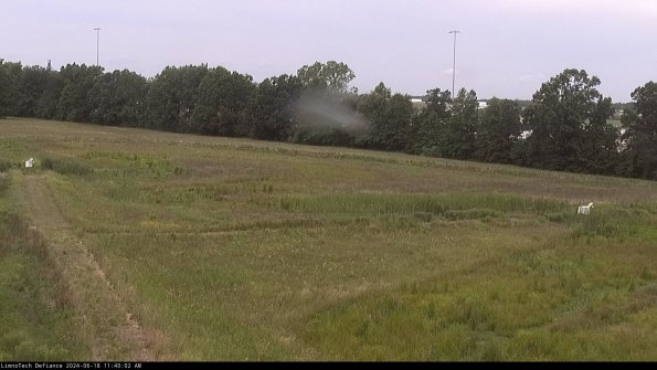 Cell 2_24-06-18_11-40-03-37