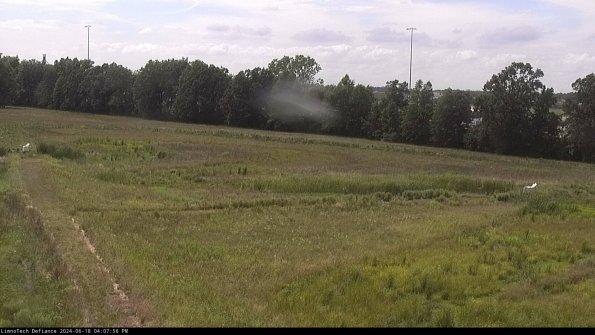 Cell 2_24-06-18_16-07-57-44