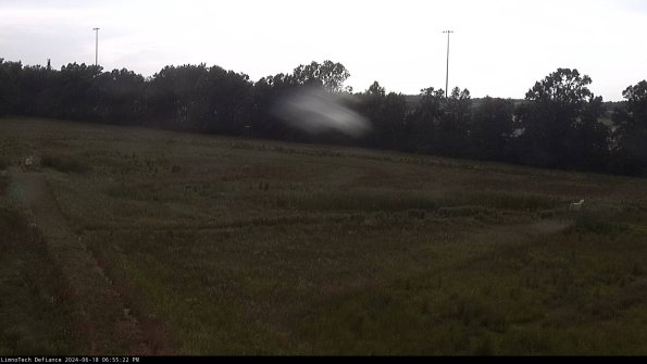 Cell 2_24-06-18_18-55-23-39