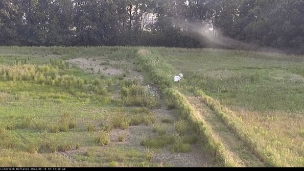 Cell 3 to 4_24-06-18_07-12-51-35