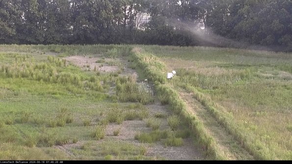 Cell 3 to 4_24-06-18_07-46-21-34