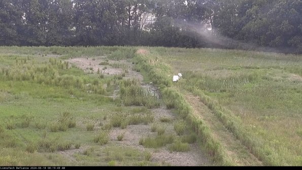 Cell 3 to 4_24-06-18_08-19-50-32