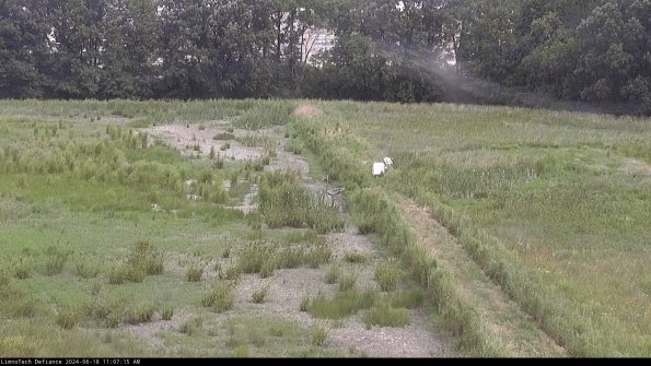 Cell 3 to 4_24-06-18_11-07-16-33