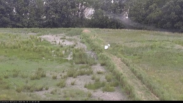 Cell 3 to 4_24-06-18_11-40-45-34