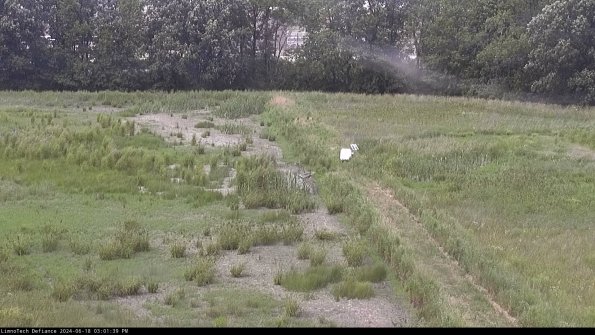 Cell 3 to 4_24-06-18_15-01-40-35