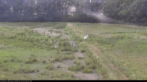 Cell 3 to 4_24-06-18_18-56-04-34