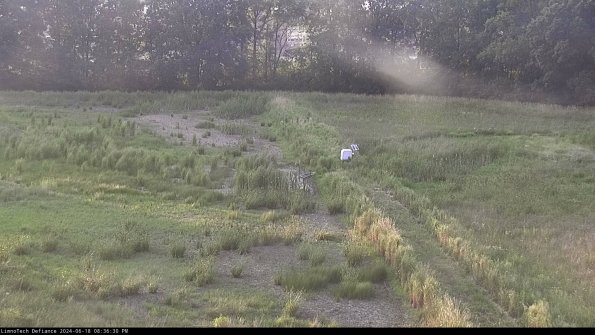 Cell 3 to 4_24-06-18_20-36-31-32