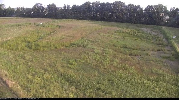 Cell 3_24-06-18_07-12-37-57