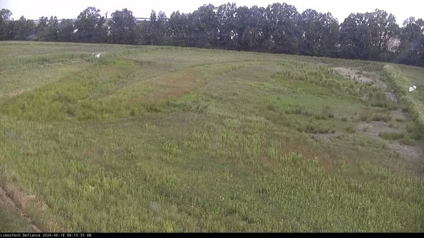 Cell 3_24-06-18_08-19-36-34