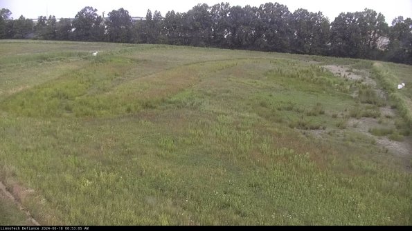 Cell 3_24-06-18_08-53-06-33