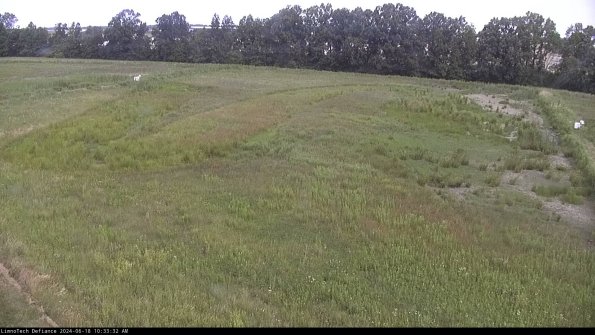 Cell 3_24-06-18_10-33-33-33