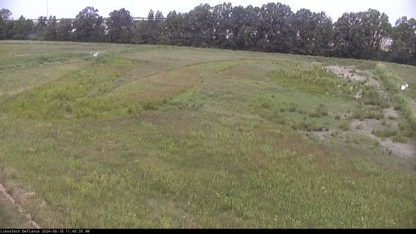 Cell 3_24-06-18_11-40-31-33