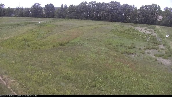 Cell 3_24-06-18_15-01-26-33