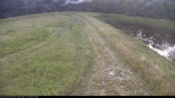 Cell 4 to Basin_24-06-18_08-20-34-34