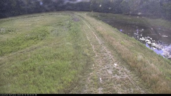 Cell 4 to Basin_24-06-18_08-54-04-36