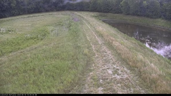 Cell 4 to Basin_24-06-18_10-34-31-35