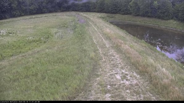 Cell 4 to Basin_24-06-18_11-41-29-35