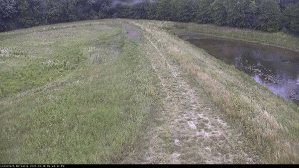 Cell 4 to Basin_24-06-18_14-28-55-34