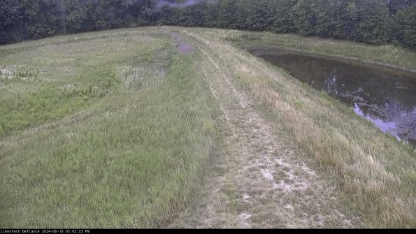 Cell 4 to Basin_24-06-18_15-02-24-36