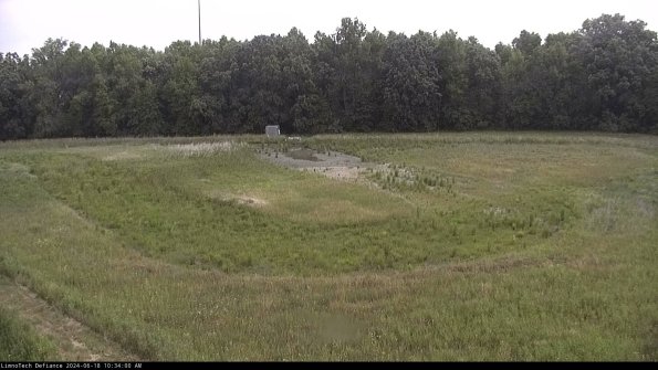 Cell 4_24-06-18_10-34-01-32