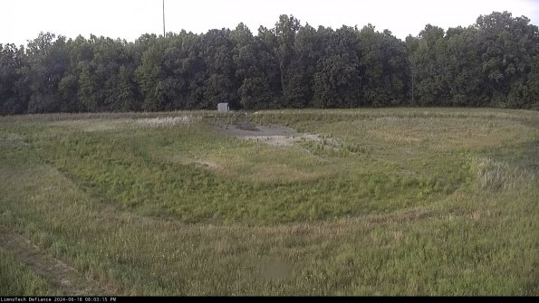 Cell 4_24-06-18_20-03-16-35