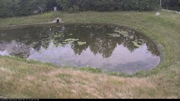 Basin Right_24-06-19_12-49-20-33